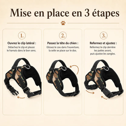harnais chiot maille respirante mise en place 3 etapes v2