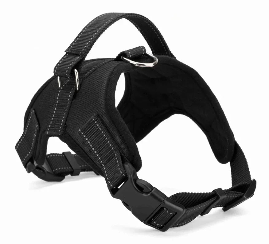Harnais chiot Maille Respirante coloris noir, autre angle