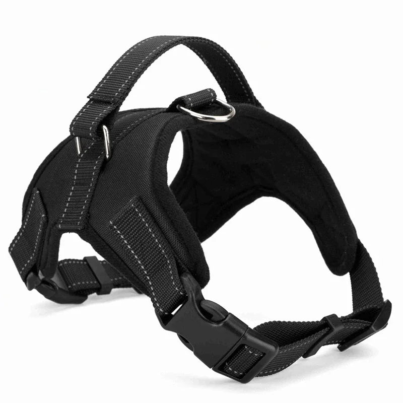 Harnais chiot Maille Respirante coloris noir, vue de profil