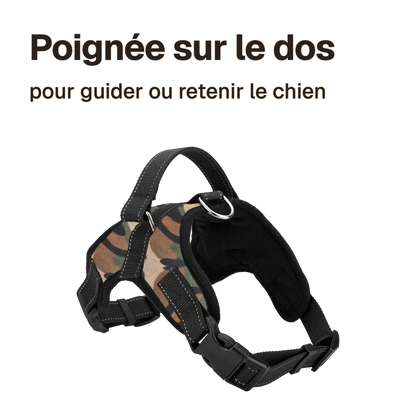 Harnais chiot maille respirante : poignée sur le dos pour guider ou retenir le chien
