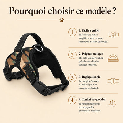 harnais chiot maille respirante pourquoi choisir ce modele