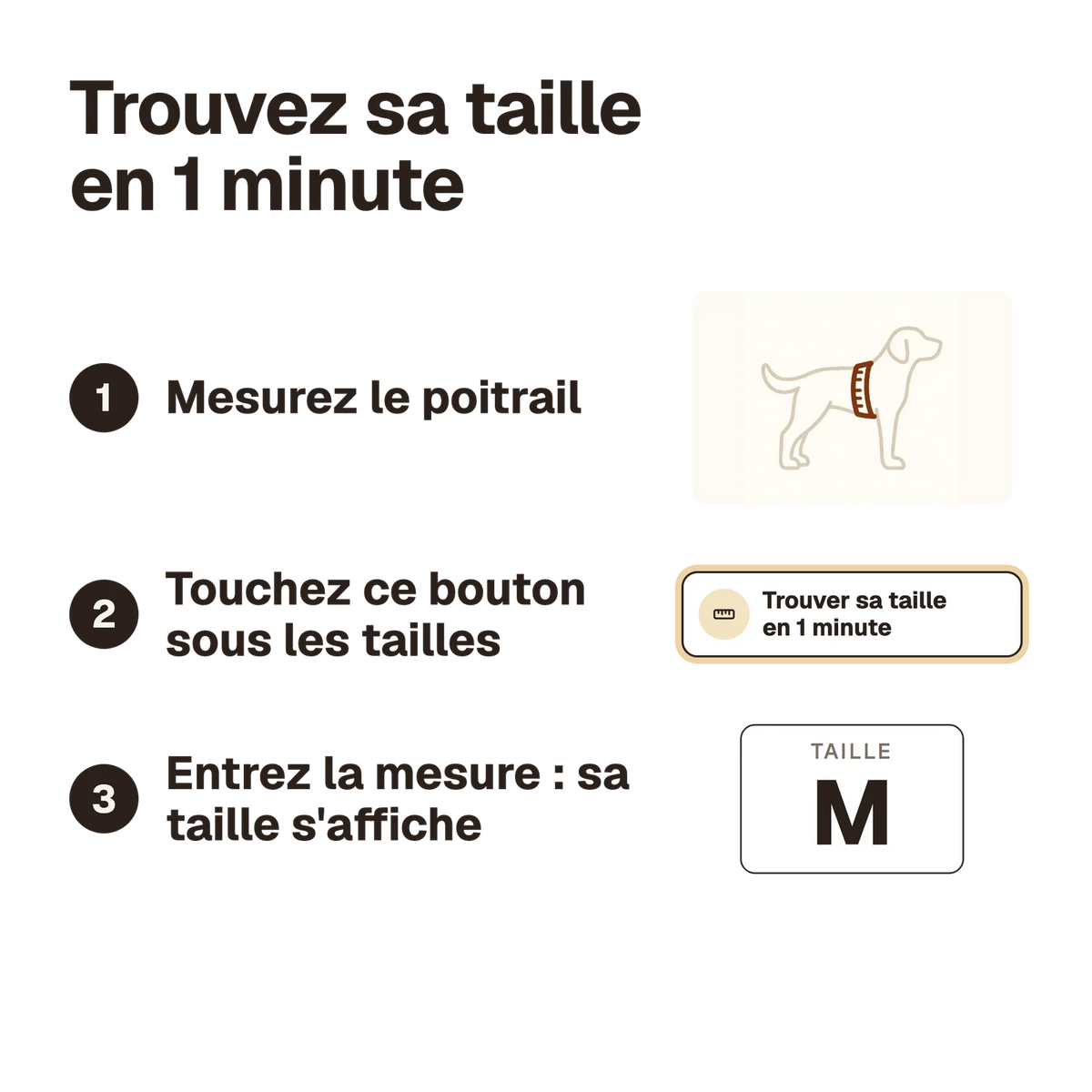 Trouvez sa taille en 1 minute : mesurez le poitrail, entrez la mesure, la taille s'affiche
