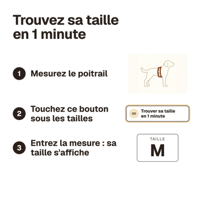 Trouvez sa taille en 1 minute : mesurez le poitrail, entrez la mesure, la taille s'affiche