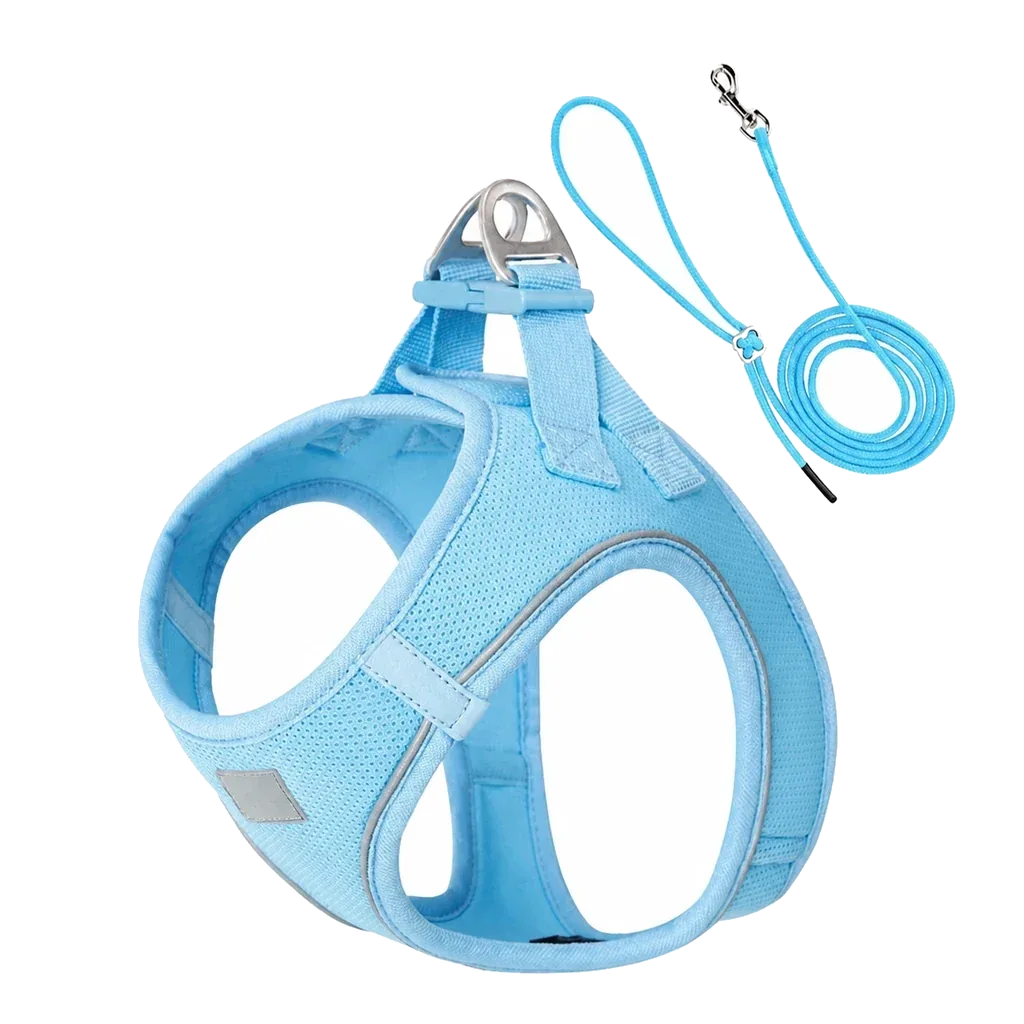 Harnais chiot Respirant Multicolore coloris bleu ciel