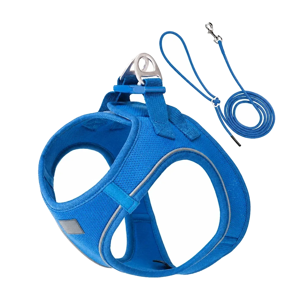 Harnais chiot Respirant Multicolore coloris bleu roi