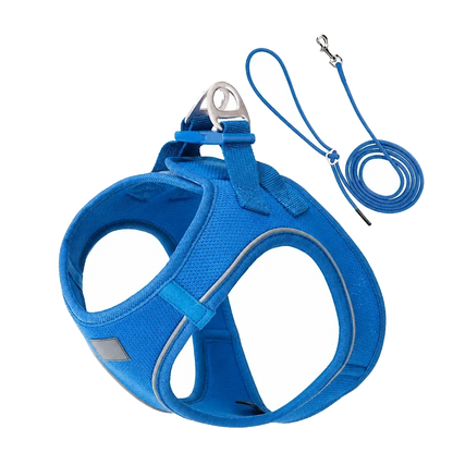 Harnais chiot Respirant Multicolore coloris bleu roi