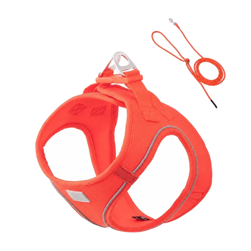 Harnais chiot Respirant Multicolore coloris orange, avec laisse assortie