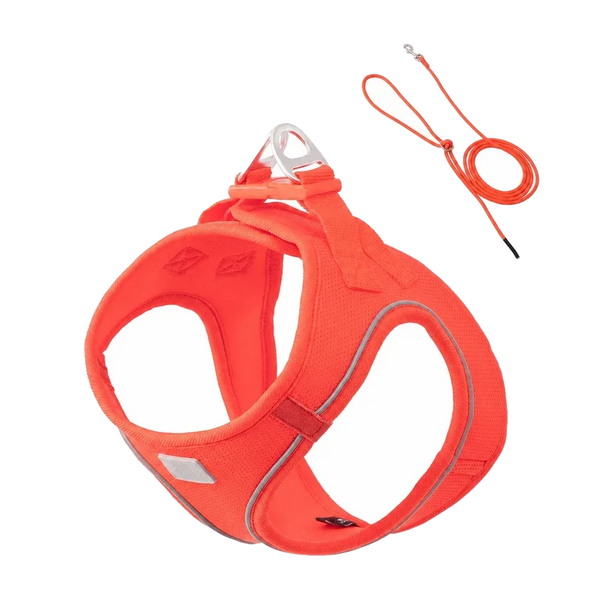 Harnais chiot Respirant Multicolore coloris orange, avec laisse assortie