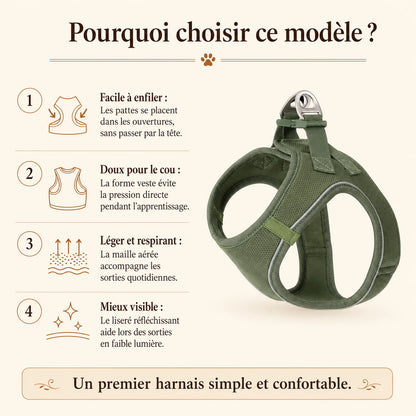 harnais chiot respirant multicolore pourquoi choisir ce modele