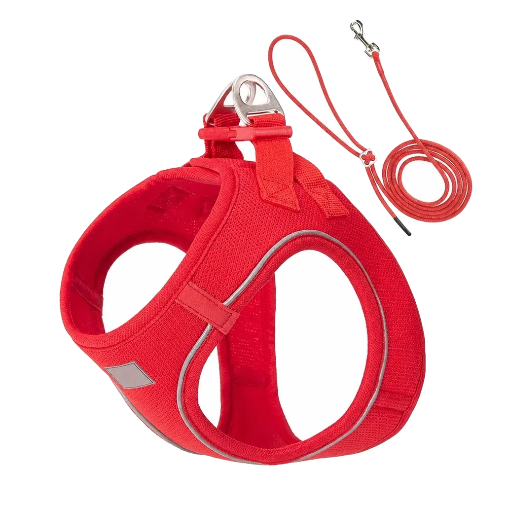 Harnais chiot Respirant Multicolore coloris rouge, avec sa laisse