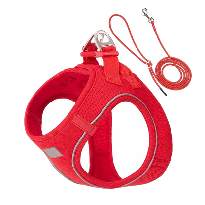 Harnais chiot Respirant Multicolore coloris rouge, avec sa laisse