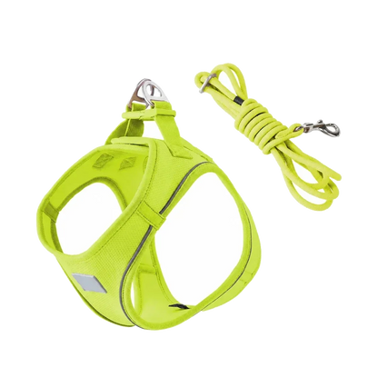 Harnais chiot Respirant Multicolore coloris vert fluo