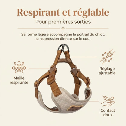 Harnais Chiot Respirant Réglable - benefice principal
