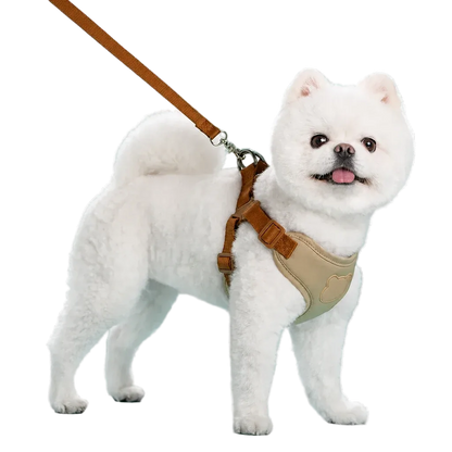 Harnais chiot respirant réglable kaki porté par un chien poméranien