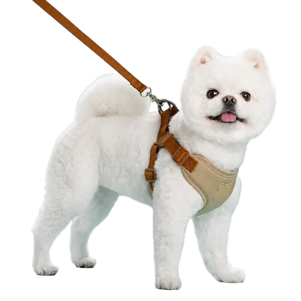 Harnais chiot respirant réglable kaki porté par un chien poméranien
