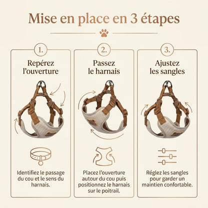 Harnais Chiot Respirant Réglable - mise en place 3 etapes
