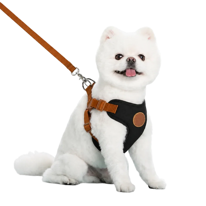 Harnais chiot respirant réglable noir, chien assis avec laisse