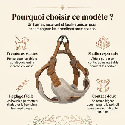Harnais Chiot Respirant Réglable - pourquoi choisir ce modele