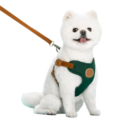 Harnais chiot respirant réglable vert foncé porté par un chien poméranien
