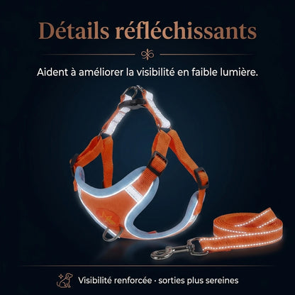 Harnais Chiot Souple Respirant - detail reflechissant