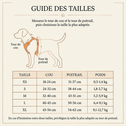 Harnais Chiot Souple Respirant - guide des tailles v1