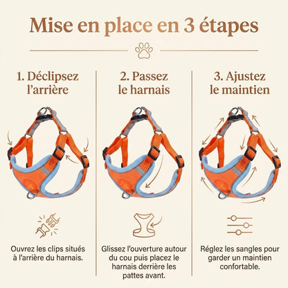 Harnais Chiot Souple Respirant - mise en place 3 etapes