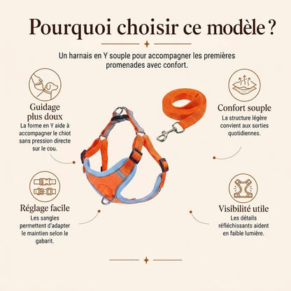 Harnais Chiot Souple Respirant - pourquoi choisir ce modele
