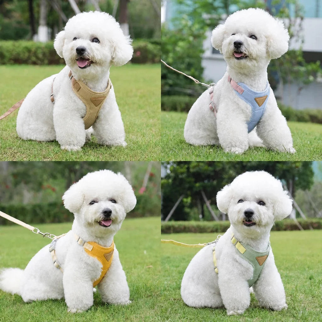 Harnais Chiot Veste Respirante porté par un bichon en extérieur, plusieurs vues