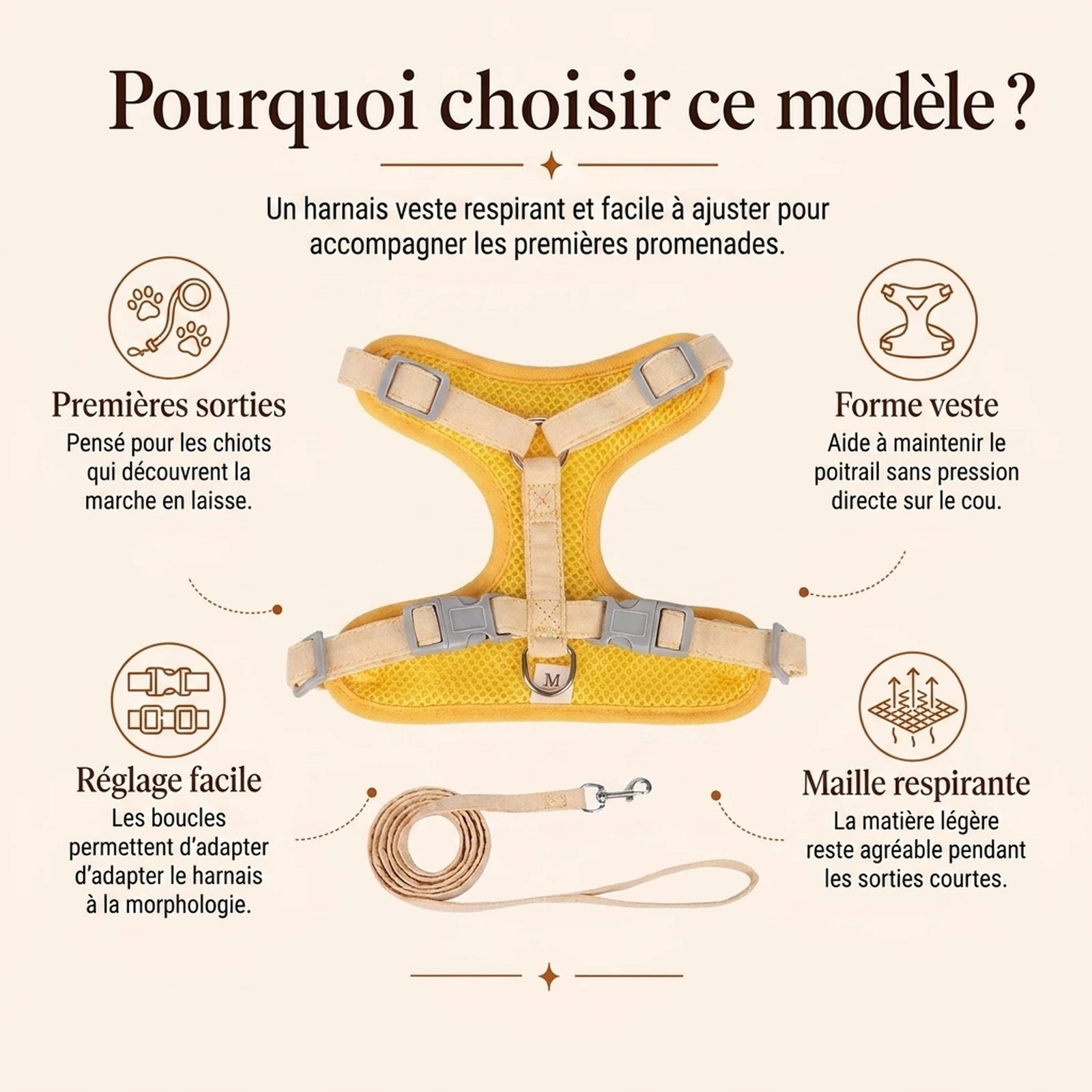 Harnais Chiot Veste Respirante - pourquoi choisir ce modele