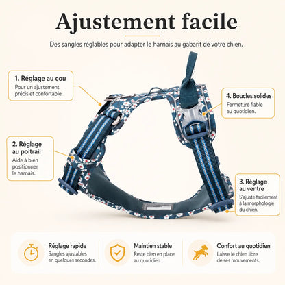 harnais-floral-chien-ajustement-simple