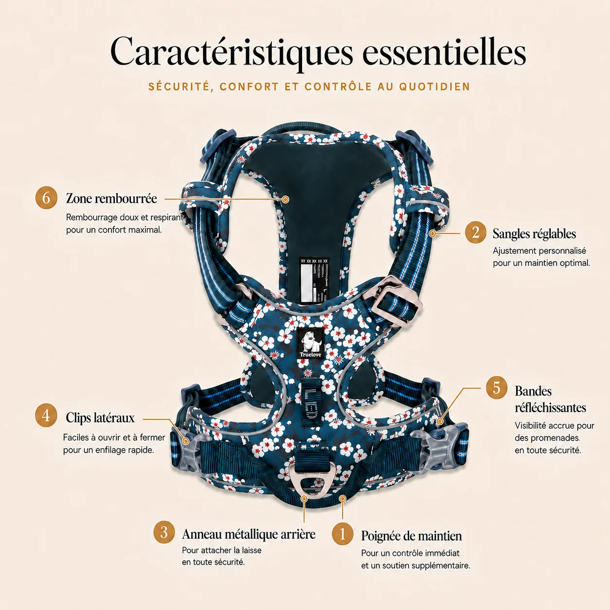 harnais-floral-chien-caracteristiques