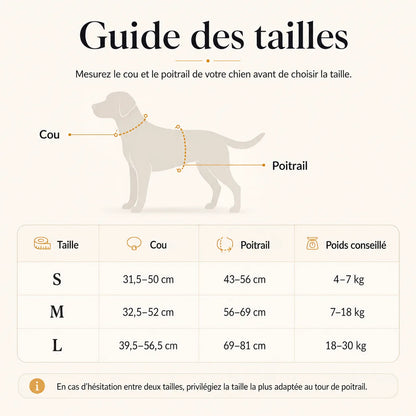 harnais-floral-chien-guide-tailles