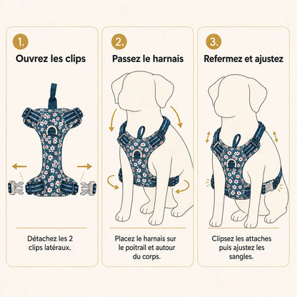 harnais-floral-chien-mise-en-place