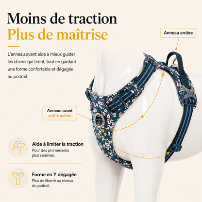 harnais-floral-chien-traction-diminuee