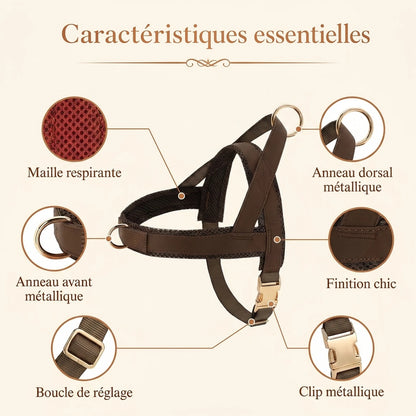 Harnais Petit Chien Chic - caracteristiques essentielles