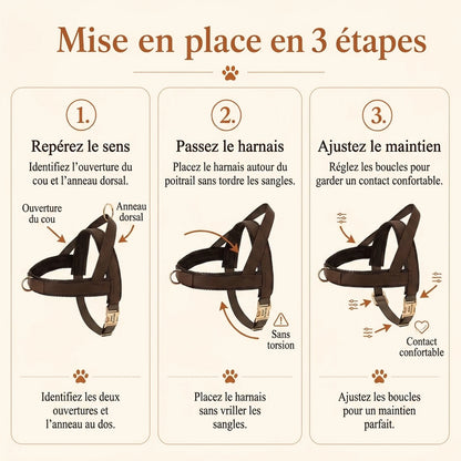 Harnais Petit Chien Chic - mise en place 3 etapes