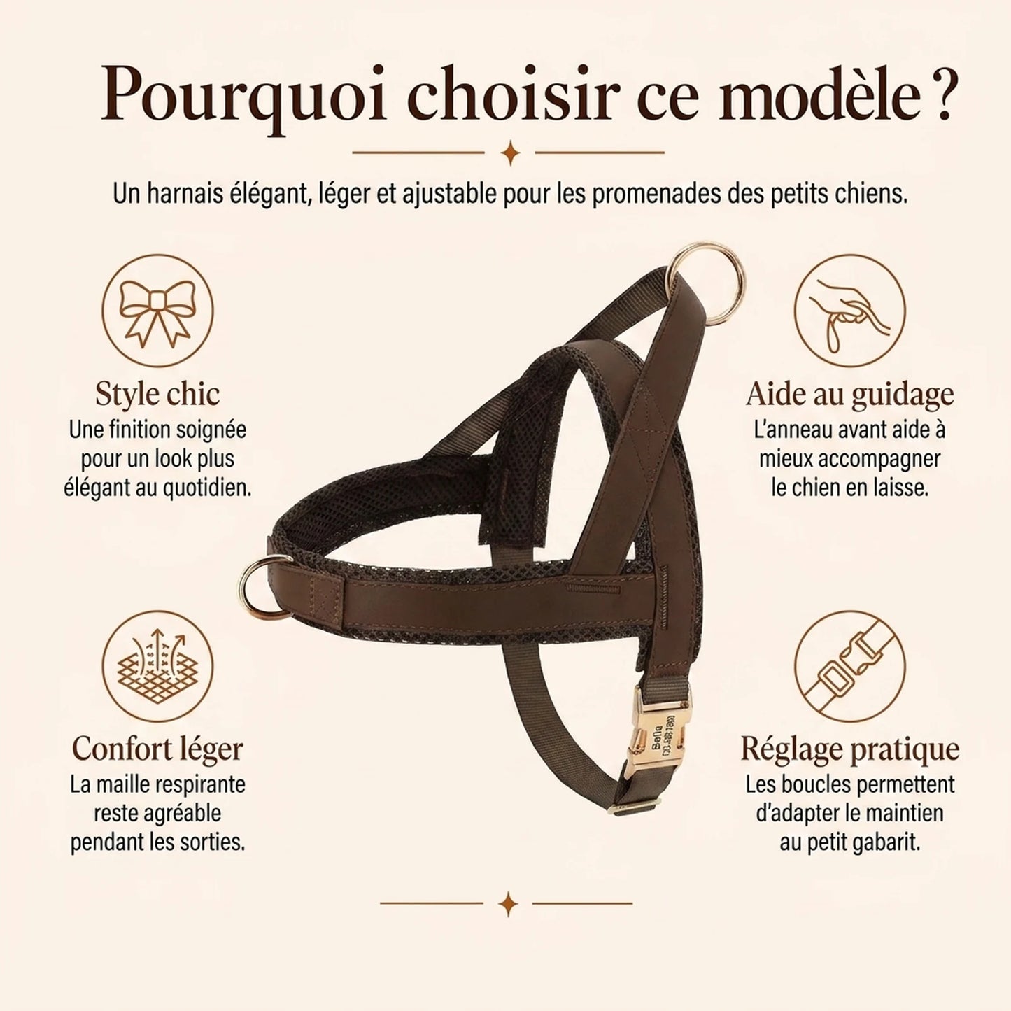 Harnais Petit Chien Chic - pourquoi choisir ce modele