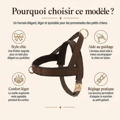 Harnais Petit Chien Chic - pourquoi choisir ce modele