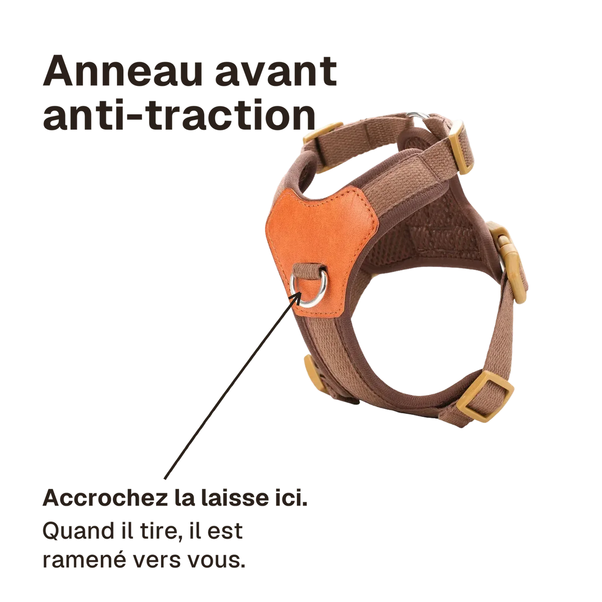 Harnais petit chien confortable : accrochez la laisse à l'anneau avant, quand il tire le chien est ramené vers vous