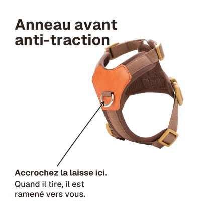 Harnais petit chien confortable : accrochez la laisse à l'anneau avant, quand il tire le chien est ramené vers vous
