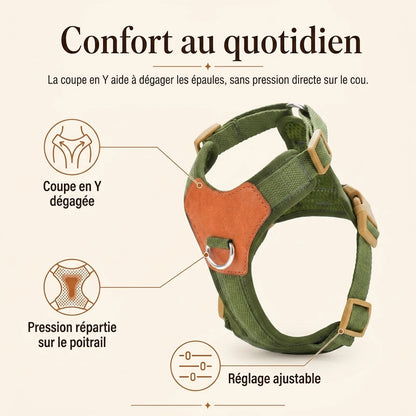 harnais petit chien confortable benefice principal
