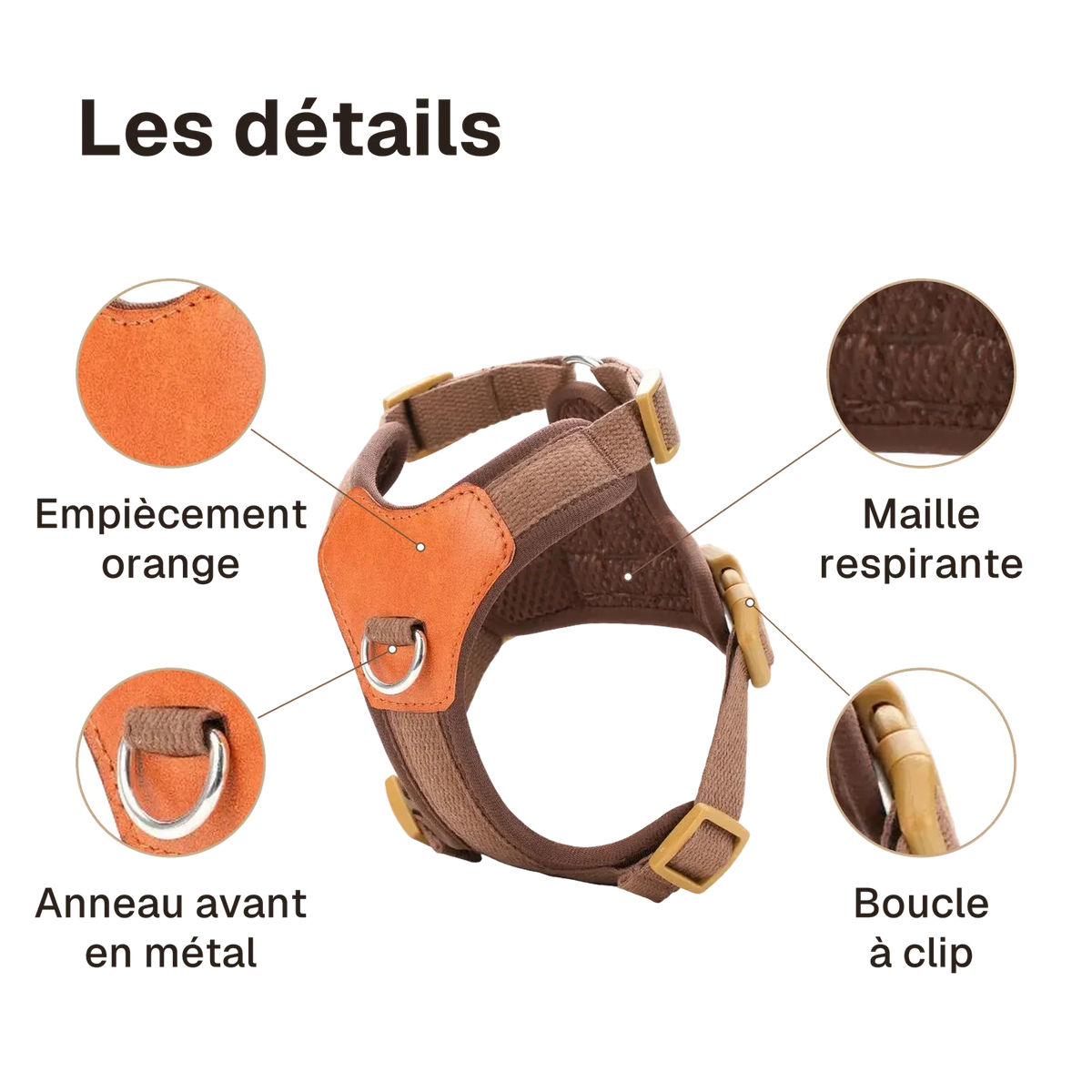 Les détails du harnais petit chien confortable : anneau avant en métal, empiècement orange, maille respirante, boucle à clip