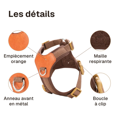 Les détails du harnais petit chien confortable : anneau avant en métal, empiècement orange, maille respirante, boucle à clip