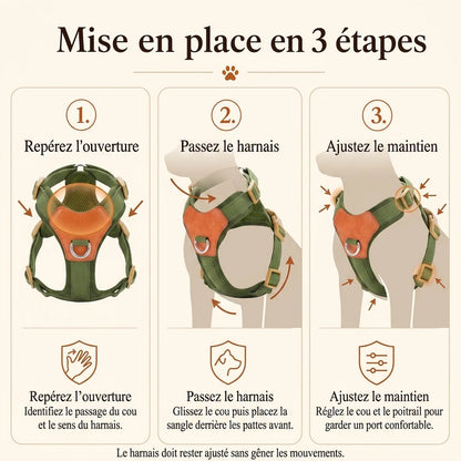 harnais petit chien confortable mise en place 3 etapes