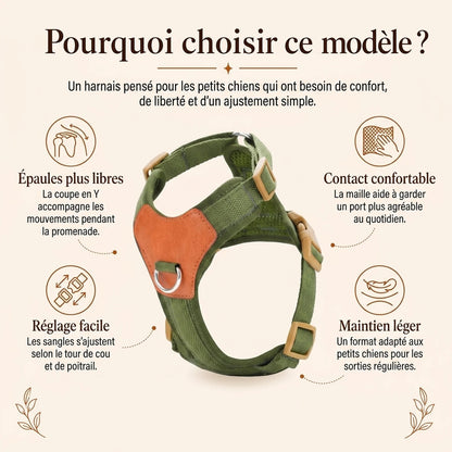 harnais petit chien confortable pourquoi choisir ce modele