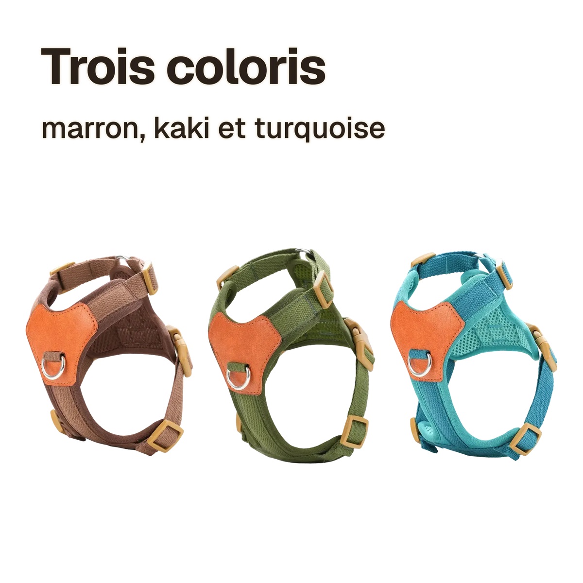 Trois coloris du harnais petit chien confortable : marron, kaki et turquoise
