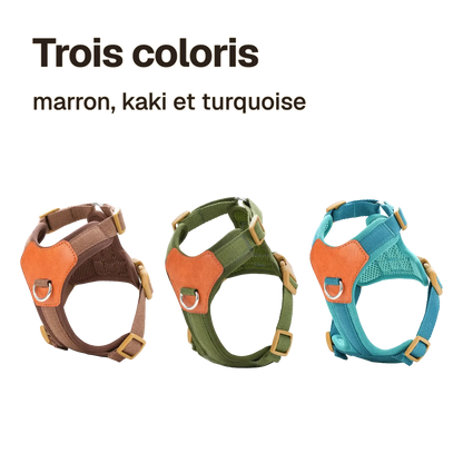 Trois coloris du harnais petit chien confortable : marron, kaki et turquoise
