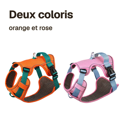 Deux coloris du harnais petit chien maille respirante : orange et rose