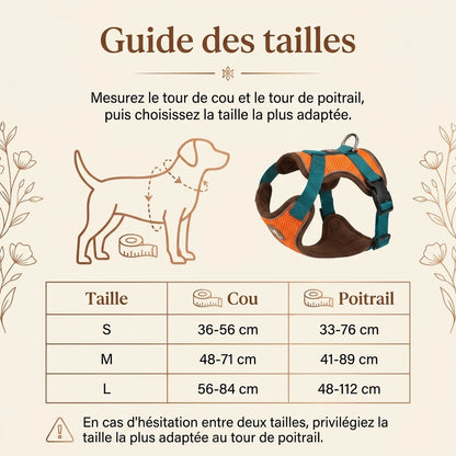 Harnais Petit Chien Maille Respirante - guide des tailles