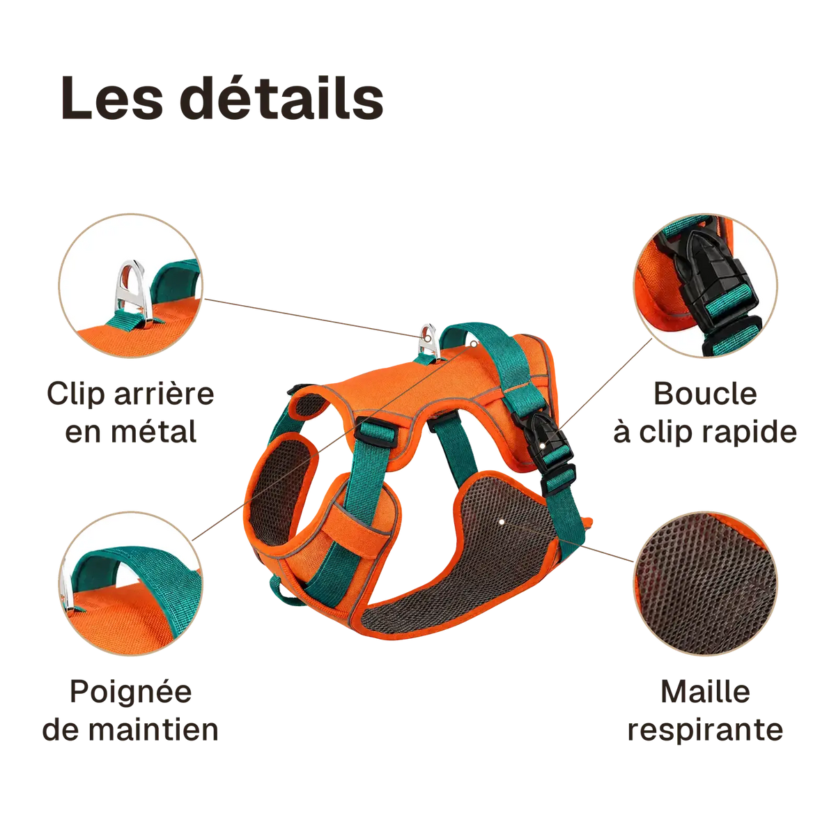 Les détails du harnais petit chien maille respirante : poignée de maintien, clip arrière en métal, maille respirante, boucle à clip rapide